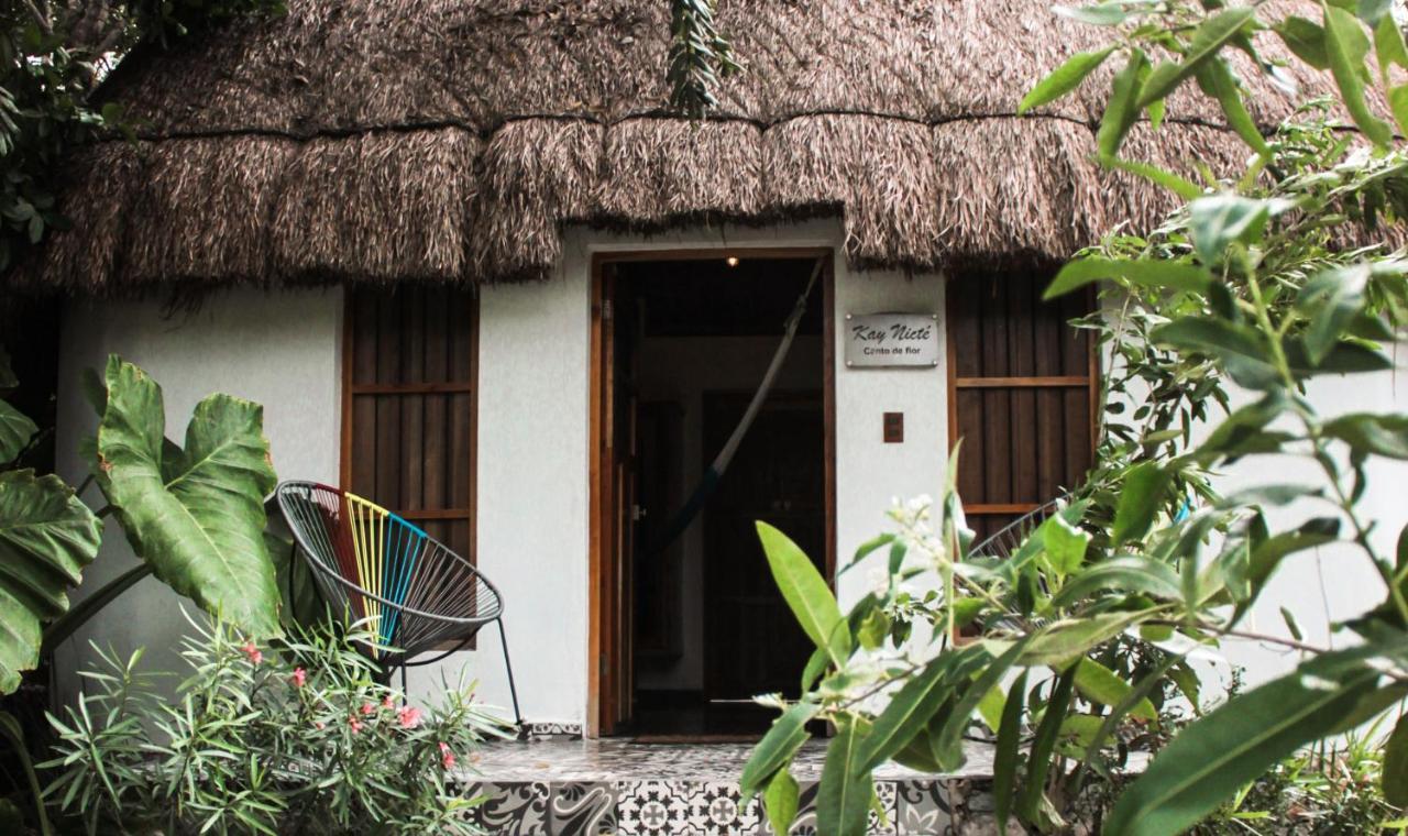 Cenote San Ignacio Villa Chochola Ngoại thất bức ảnh